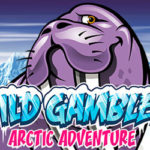 Arctic adventure