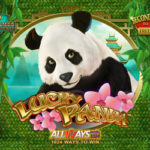 Lucky panda