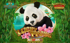 https://cdn.vegasgod.com/playtech/lucky-panda/cover.jpg