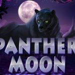 Panther moon