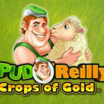 Spud O’reillys