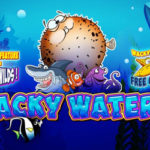 Wacky waters