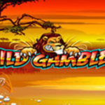 Wild gambler