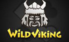 https://cdn.vegasgod.com/playtech/wild-viking/cover.jpg