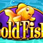 Gold fish