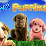 Omg puppies