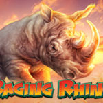 Raging Rhino