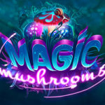 Magic Mushrooms
