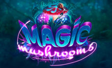 https://cdn.vegasgod.com/yggdrasil/magic-mushrooms/cover.jpg