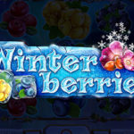 Winterberries