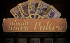 https://cdn.vegasgod.com/playson/double-joker-poker/cover.jpg