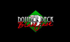 https://cdn.vegasgod.com/rtg/double-deck-blackjack/cover.jpg