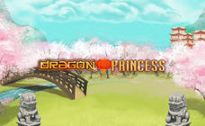 https://cdn.vegasgod.com/rtg/dragon-princess/cover.jpg