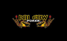 https://cdn.vegasgod.com/rtg/pai-gow-poker/cover.jpg