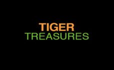 https://cdn.vegasgod.com/rtg/tiger-treasures/cover.jpg