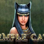 Temple Cats