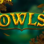 Owls