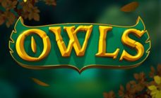 Owls-slot