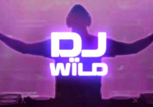 DJ-Wild-slot-fun