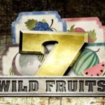 Wild Fruits